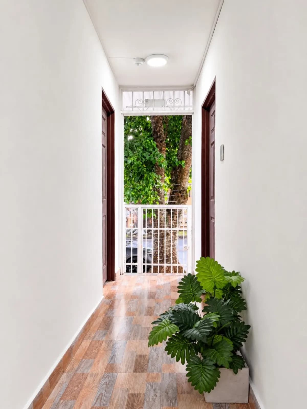 Corredor de acceso a lofts en Miraflores Cali